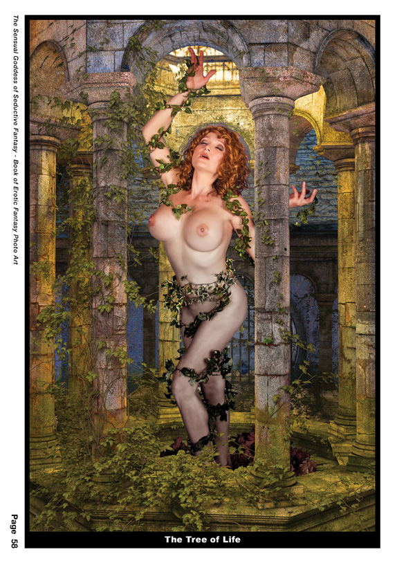 Sg of Seductive Fantasy Book58