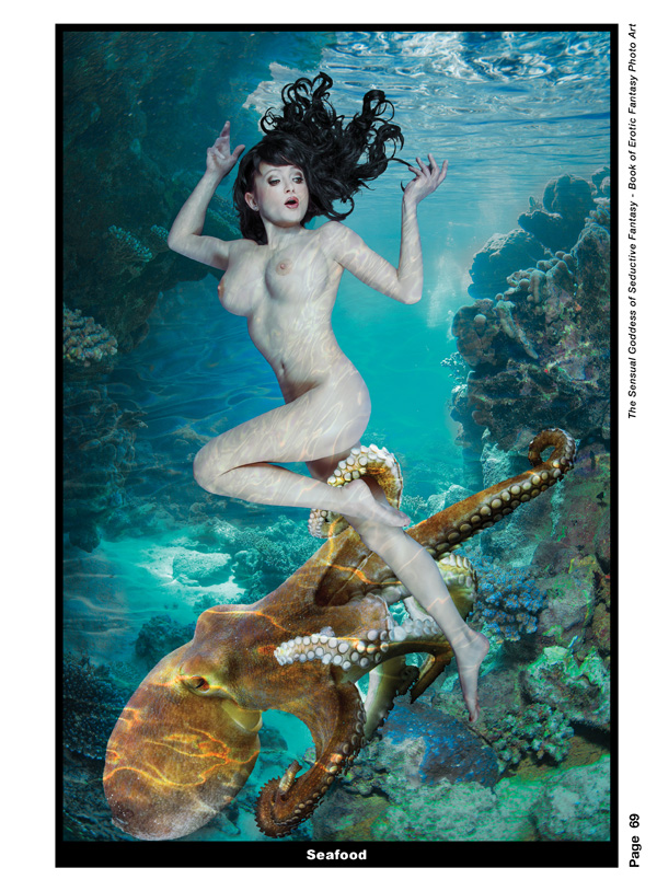 Sg of Seductive Fantasy Book69