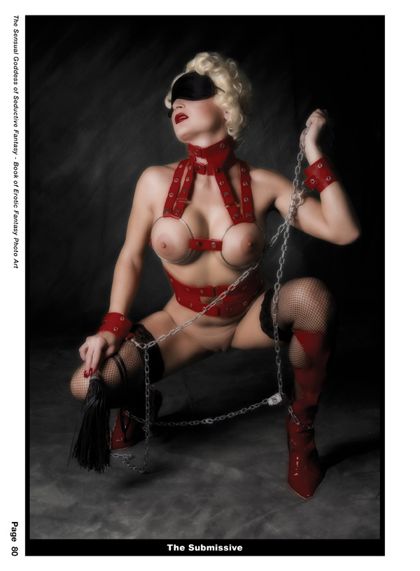 Sg of Seductive Fantasy Book80